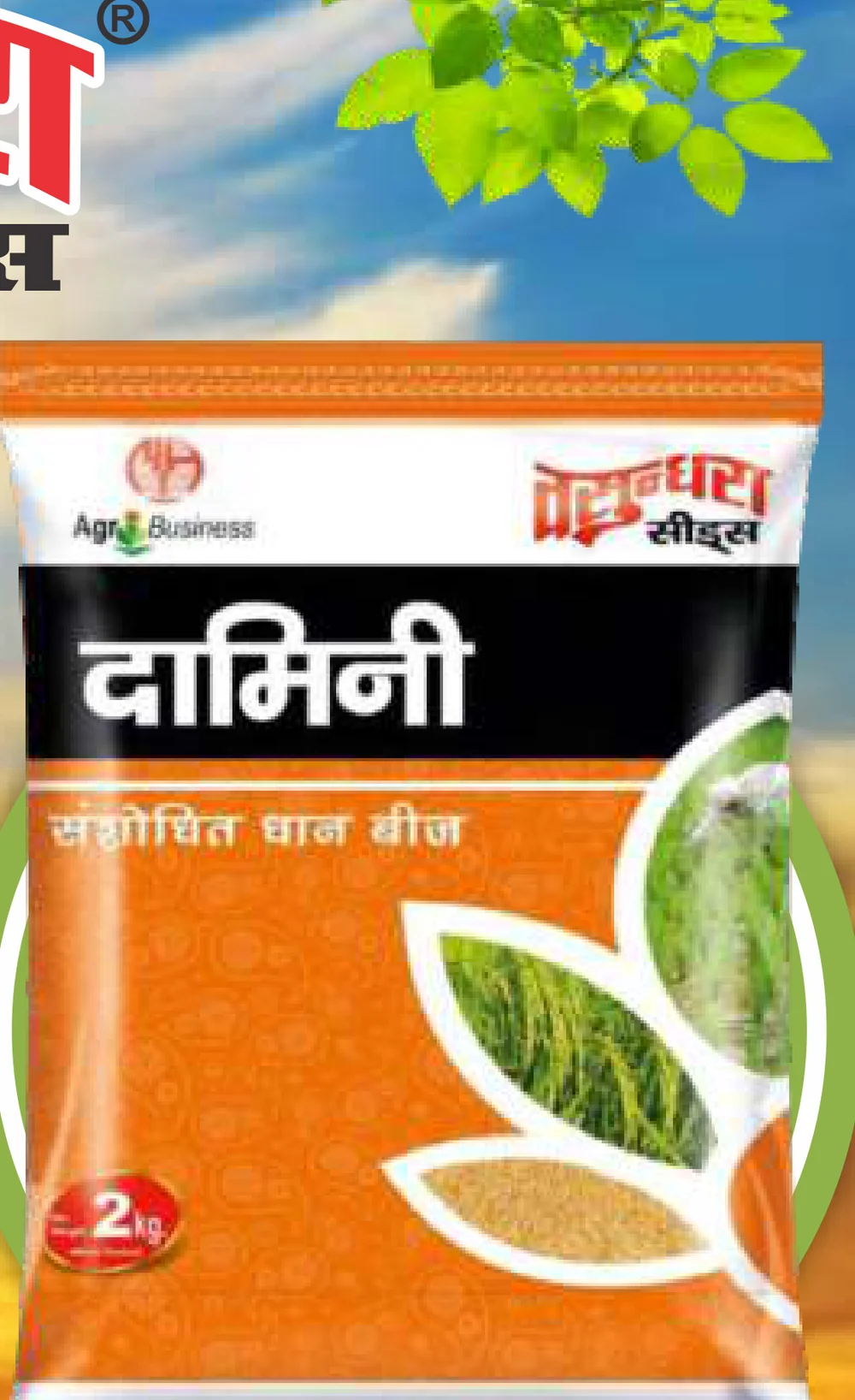 Damini pack