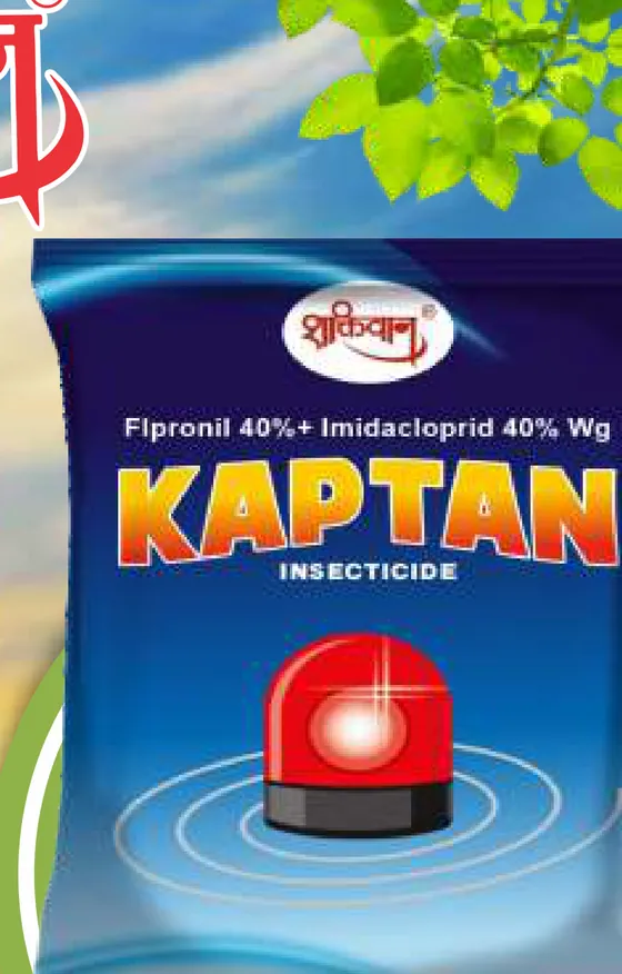 Kaptan pack