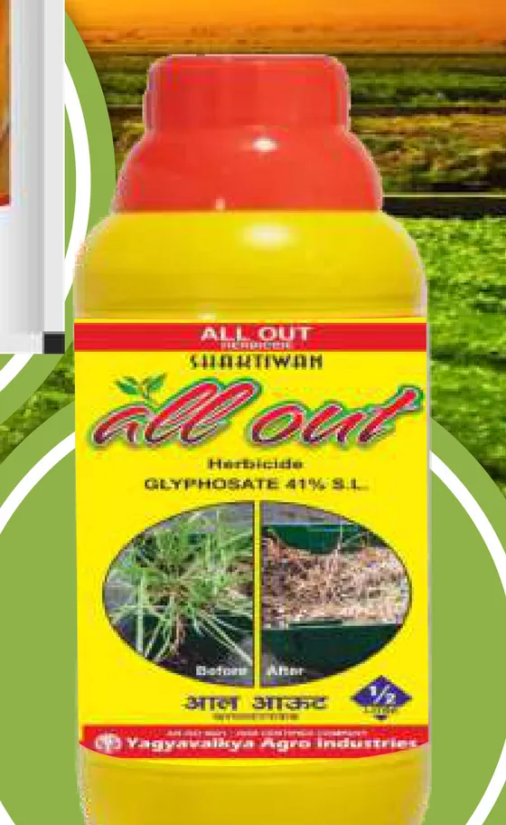 Pendi Plus pack